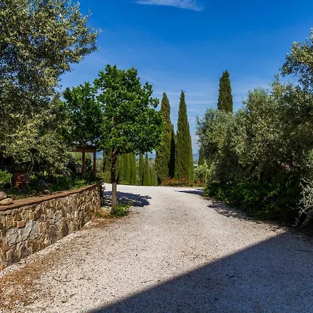 Villa Bouganville - Colleberto