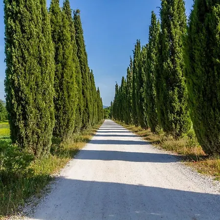 Villa Bouganville - Colleberto *